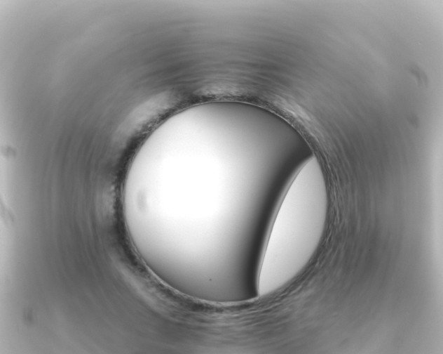 X0000091240735200708091130
