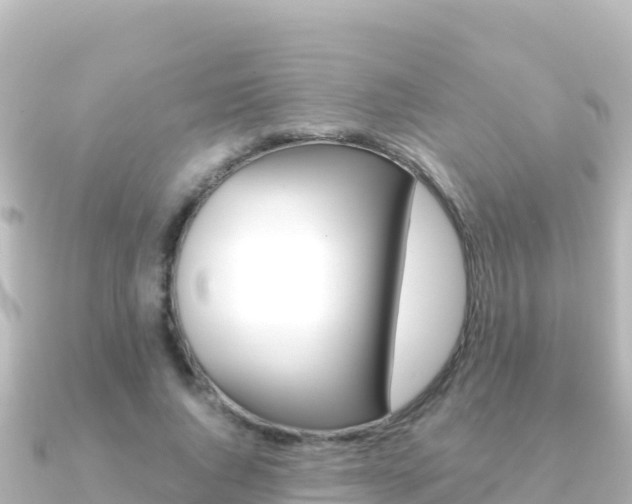 X0000091240736200708091130