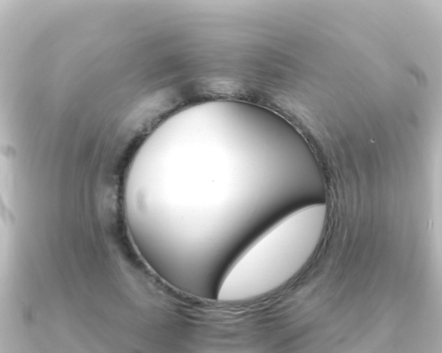 X0000091240739200708091130