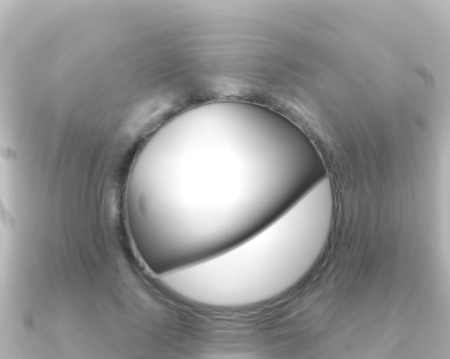 X0000091240740200708091131