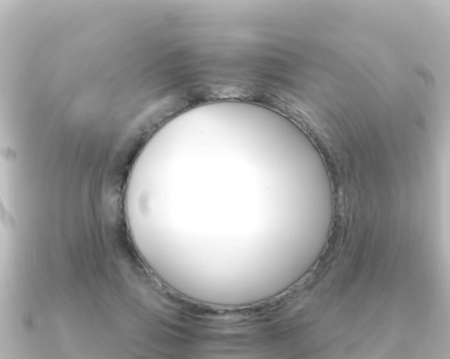 X0000091240741200708091131