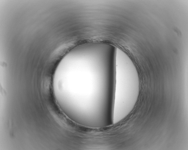 X0000091240742200708091131