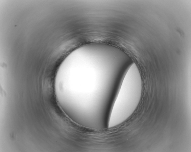 X0000091240743200708091131