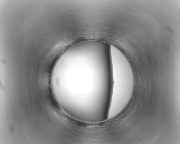 X0000091240744200708091131