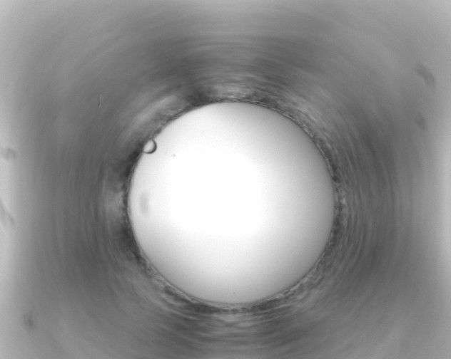 X0000091240745200708091131