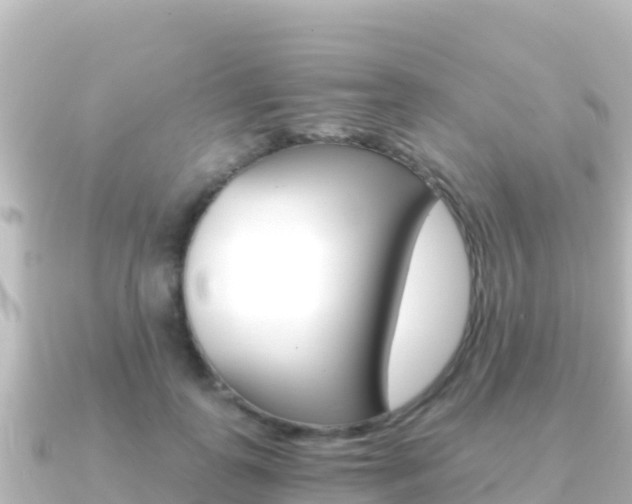 X0000091240747200708091131