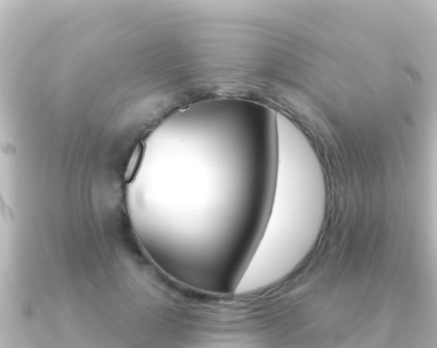 X0000091240748200708091131