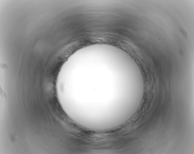 X0000091240749200708091131