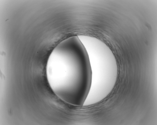 X0000091240750200708091131