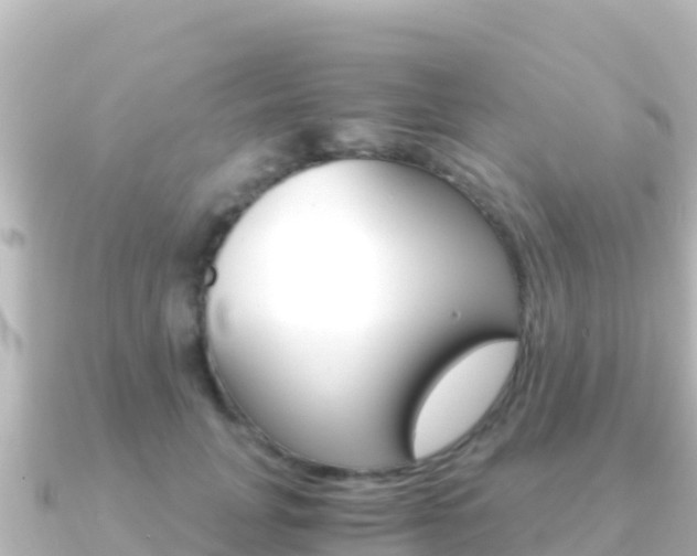 X0000091240751200708091131