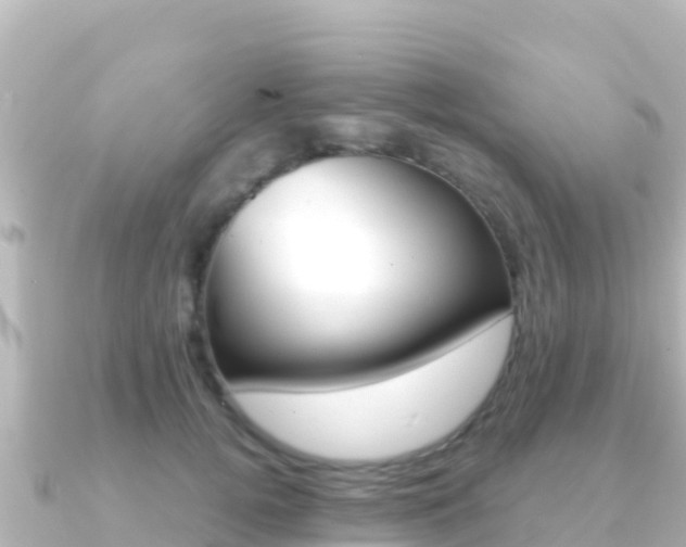 X0000091240752200708091131