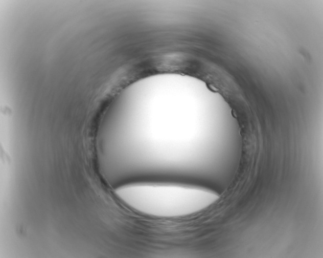 X0000091240755200708091131