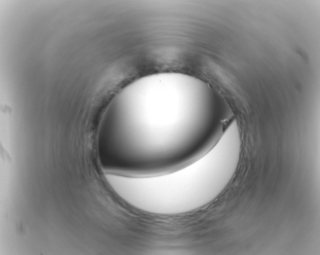 X0000091240756200708091131