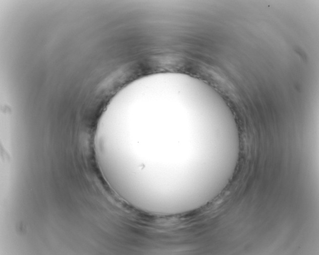 X0000091240757200708091131