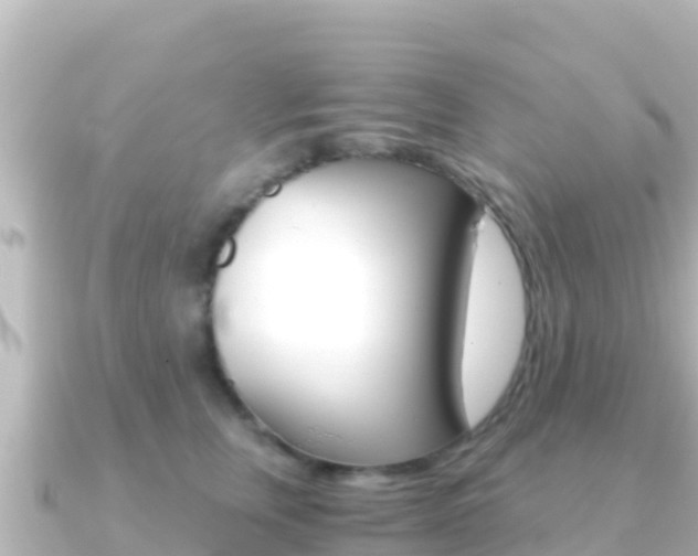 X0000091240759200708091131