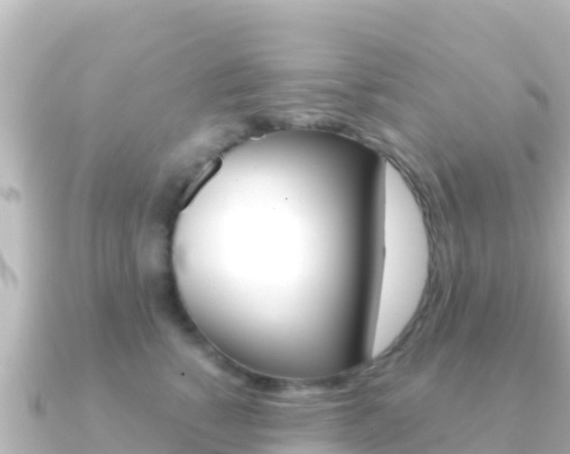 X0000091240760200708091131