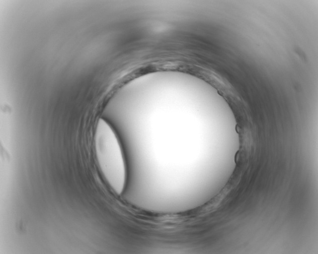 X0000091240761200708091131
