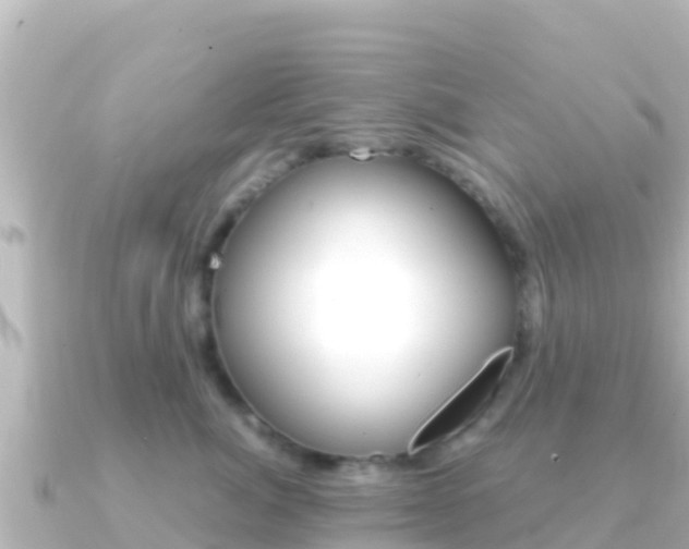 X0000091240764200708091131