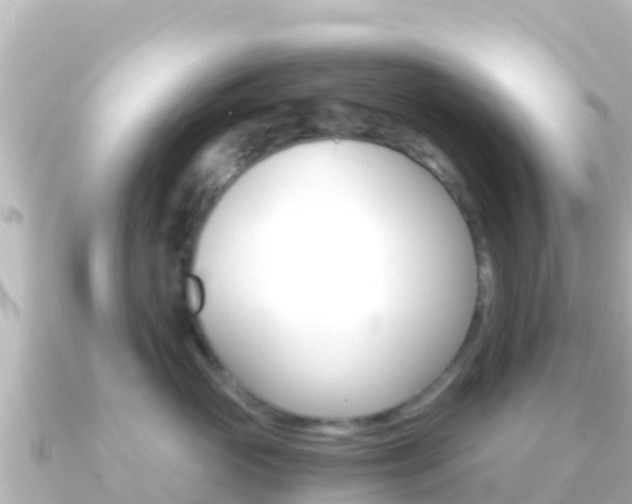 X0000091240765200708091131