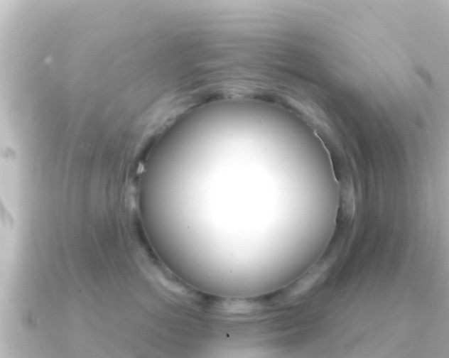 X0000091240766200708091131