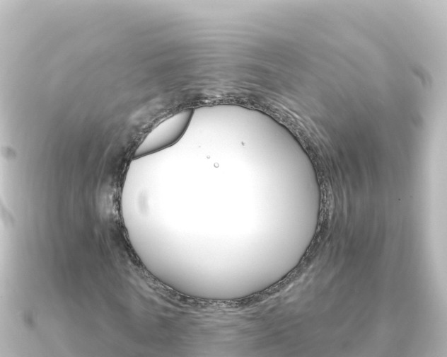 X0000091240770200708091130