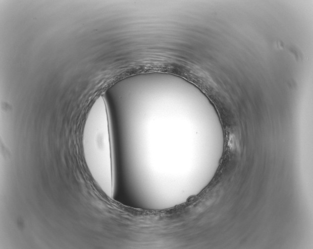 X0000091240771200708091130