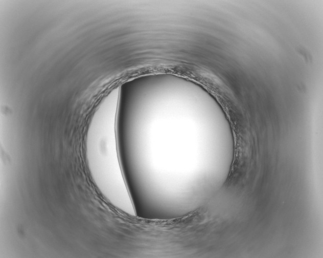 X0000091240773200708091130