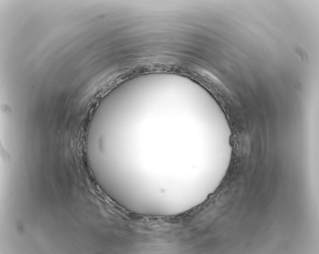 X0000091240774200708091130