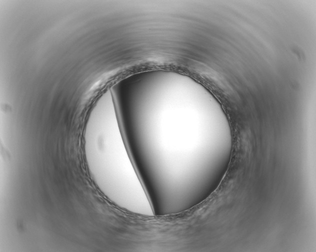 X0000091240776200708091130