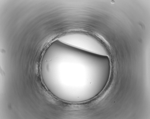 X0000091240777200708091130