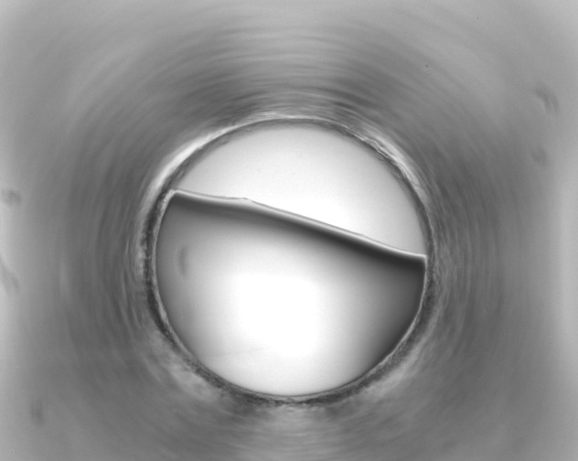 X0000091240779200708091130