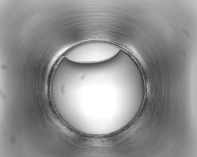 X0000091240780200708091130