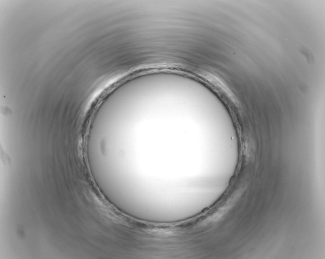 X0000091240781200708091130