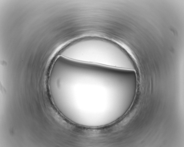 X0000091240783200708091130