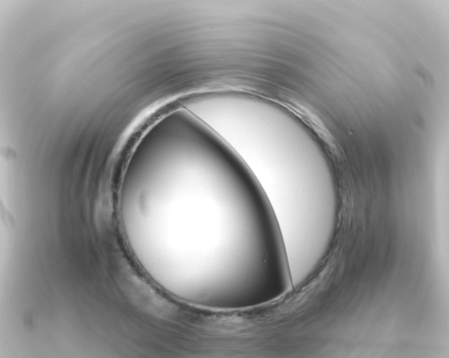 X0000091240784200708091130