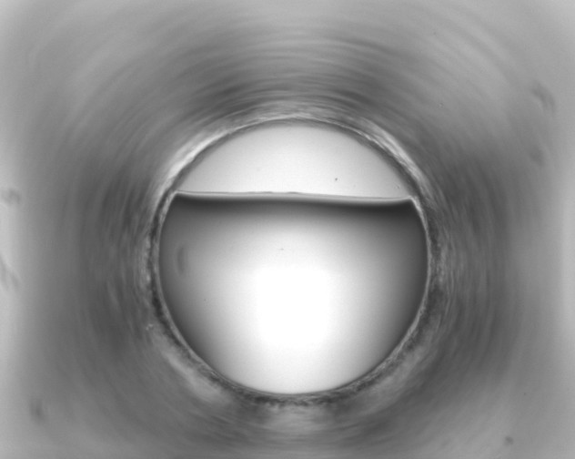 X0000091240786200708091130