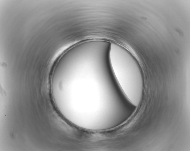 X0000091240787200708091130
