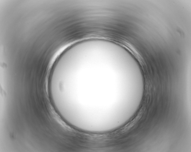 X0000091240788200708091130