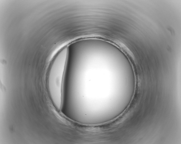 X0000091240789200708091130