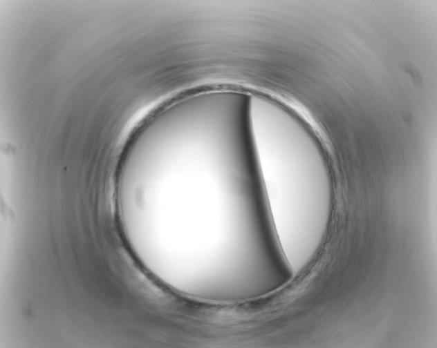 X0000091240791200708091130