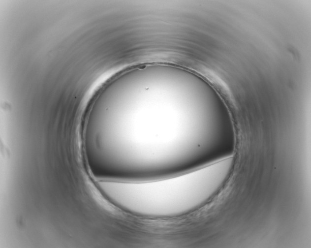 X0000091240792200708091130