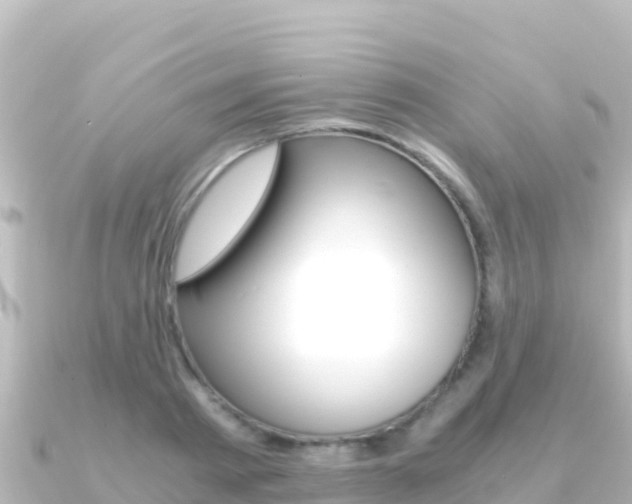 X0000091240793200708091130
