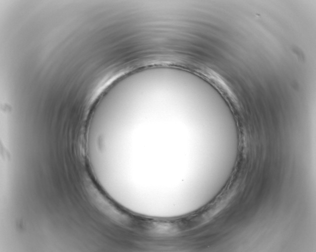 X0000091240794200708091130