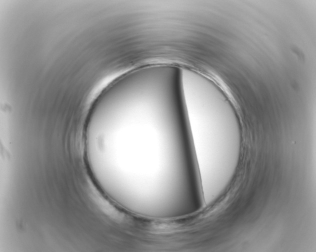 X0000091240795200708091130