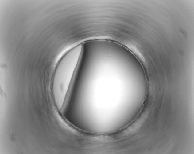 X0000091240797200708091130