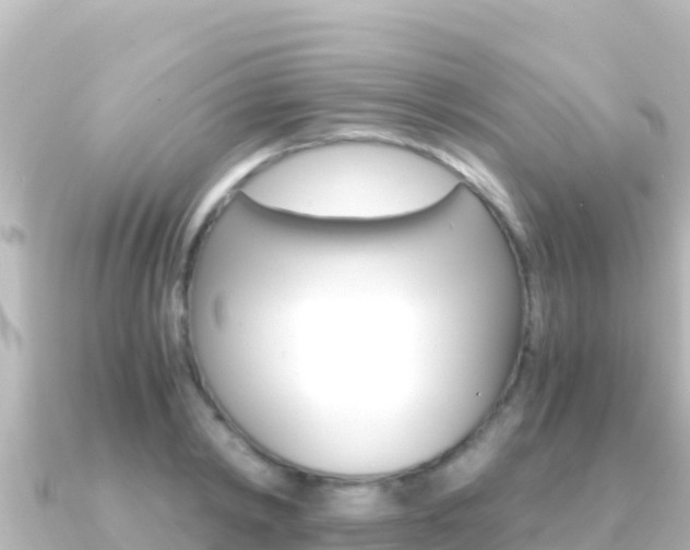 X0000091240798200708091130