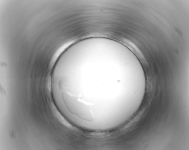 X0000091240804200708091130