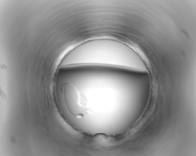X0000091240805200708091130