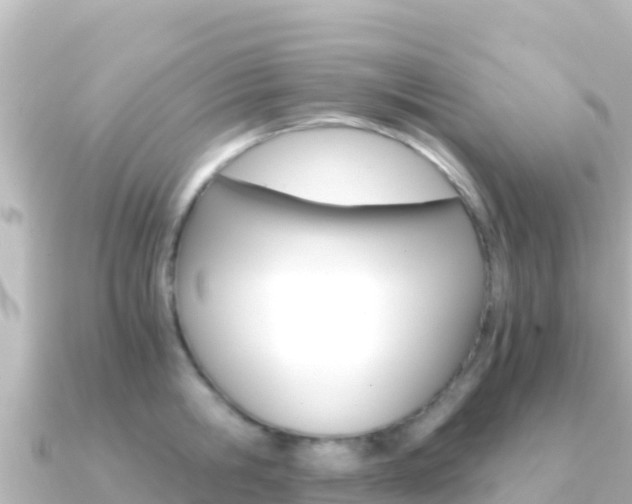 X0000091240806200708091130