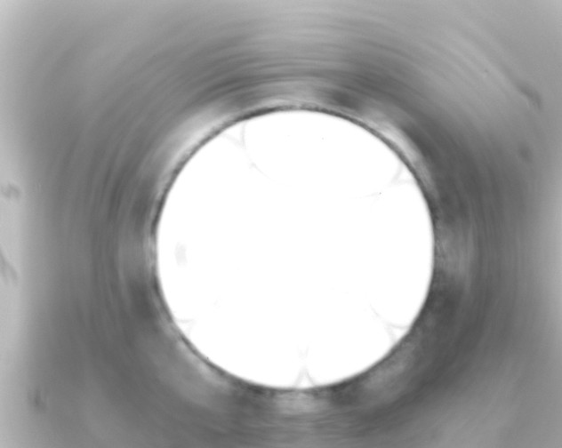 X0000091240807200708091130